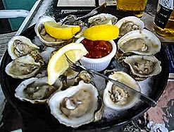 Oysters on the half shell