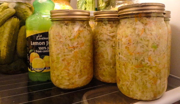 10 Day Cole Slaw